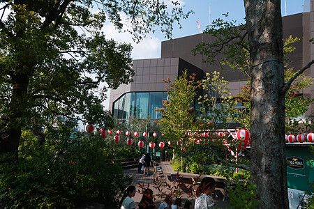 Terrazza all'aperto del Tokyu Plaza ad Harajuku con lanterne decorative rosse e bianche tra la vegetazione.