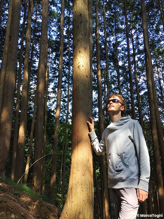 Persona nel bosco, salendo verso la cima di Monte Jinba.