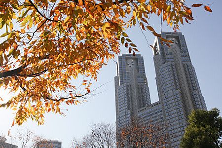 Il Tokyo Metropolitan Government Building tra foglie d'autunno.