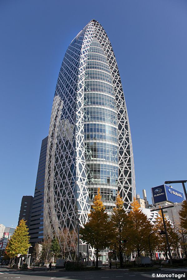 Il grattacielo Cocoon Tower a Shinjuku con cielo azzurro e alberi autunnali.