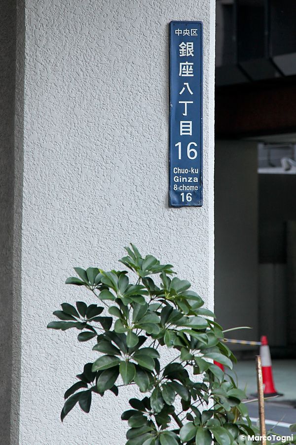 Cartello stradale blu e verde con pianta verde a Tokyo.