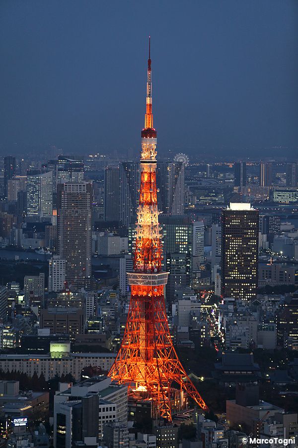 La Tokyo Tower illuminata di arancione si staglia nel panorama notturno sopra i grattacieli di Minato a Tokyo.