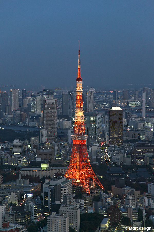 Tokyo Tower illuminata di rosso tra i grattacieli di Tokyo la sera.
