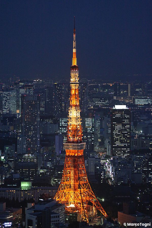 Veduta panoramica notturna della Tokyo Tower illuminata che svetta tra i grattacieli del quartiere di Minato.