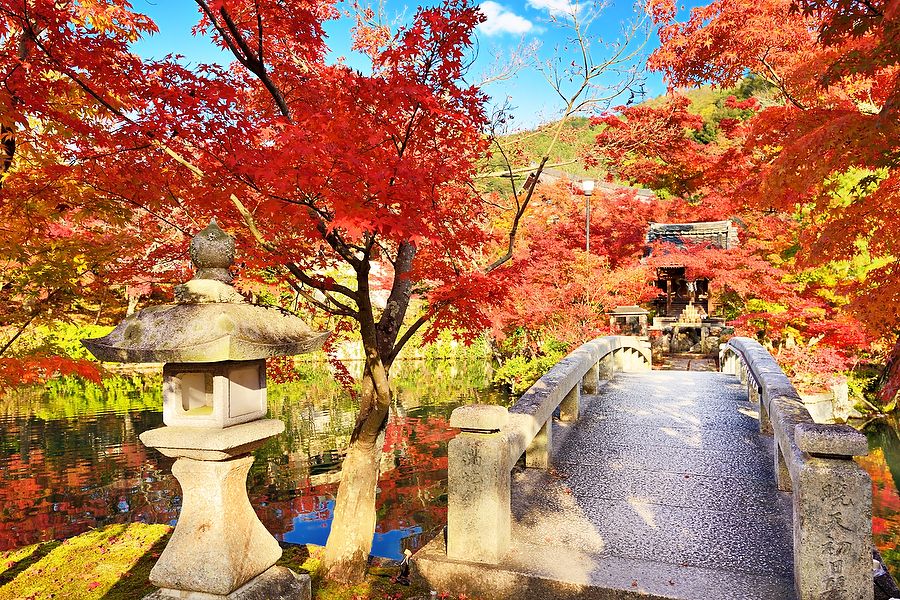 Ponte di pietra tra gli alberi dai colori autunnali al tempio Eikando, Kyoto.