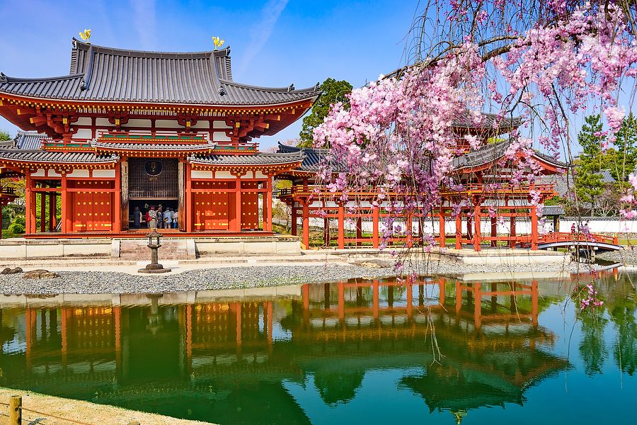 Tempio Byodo-in a Uji, Kyoto, con fiori di ciliegio e stagno.