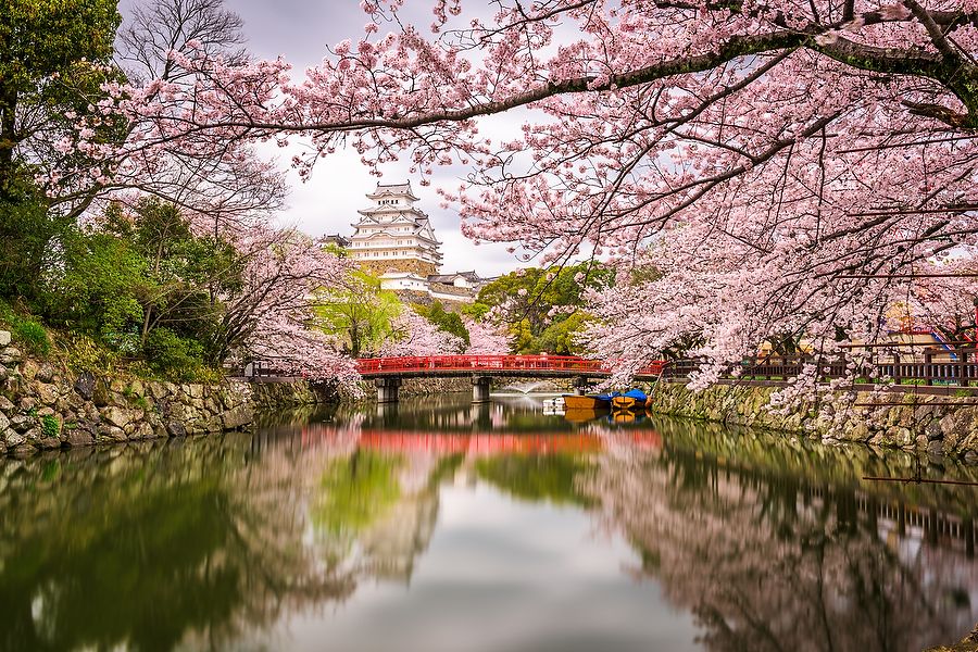 Il Castello di Himeji in primavera con ciliegi in fiore e un ponte rosso.