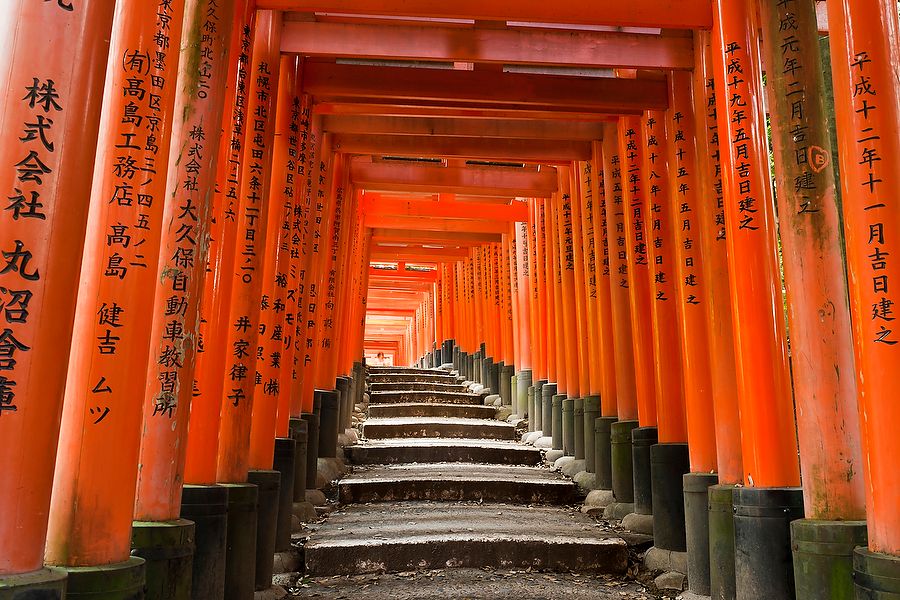 Torii arancioni al santuario Fushimi Inari Taisha vicino a Kyoto, Giappone.