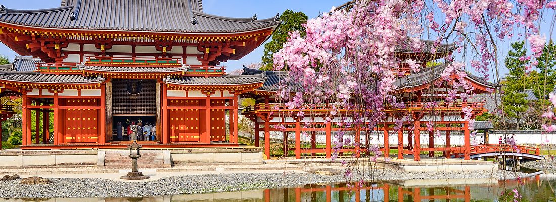 Tempio Byodo-in a Uji, Kyoto, con fiori di ciliegio e stagno.