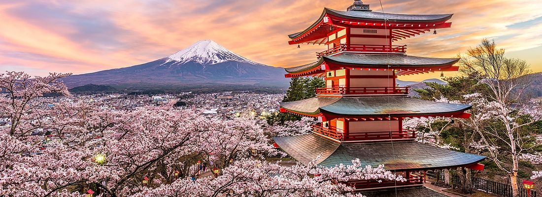 Chureito Pagoda e Monte Fuji in primavera con ciliegi in fiore.