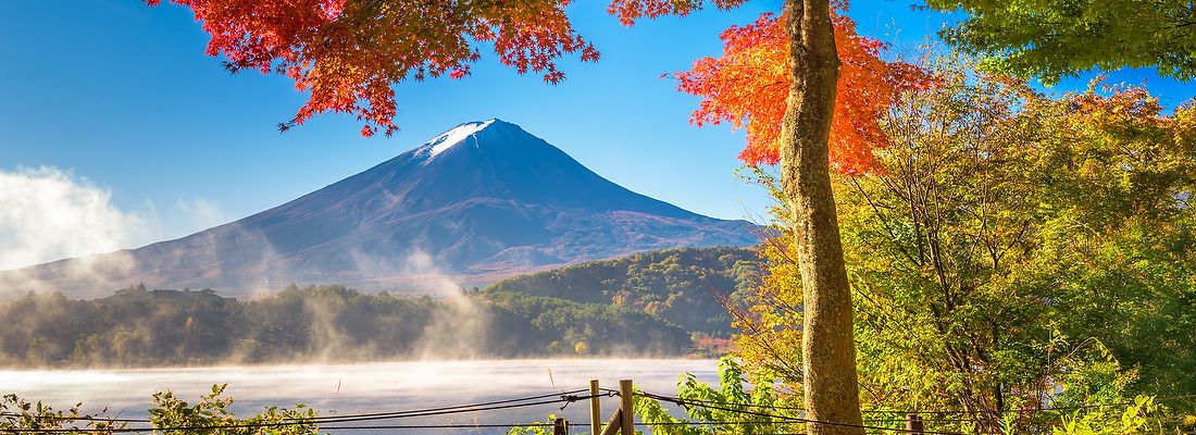 Monte Fuji in autunno, visto dal Lago Kawaguchi con un albero dai colori vivaci in primo piano.