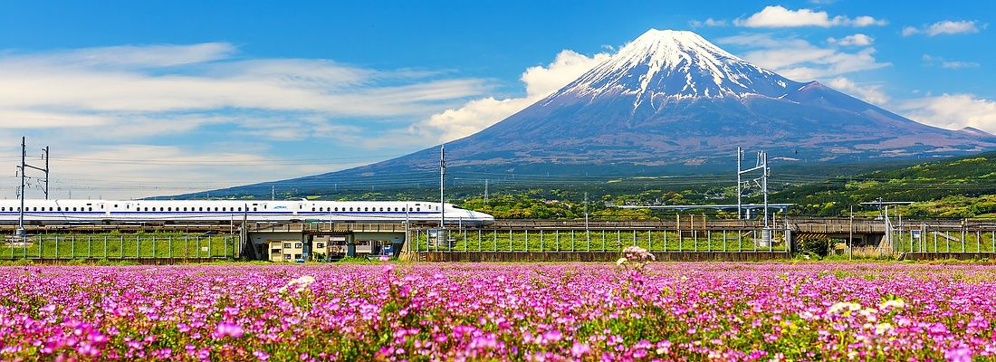 Treno Shinkansen e Monte Fuji con fiori di shibazakura a Shizuoka.