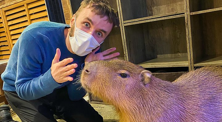 Marco Togni con mascherina si trova accanto a un capibara all'interno del locale Animeal a Osaka.