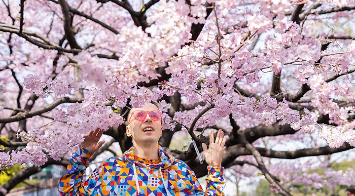 Una persona sotto i ciliegi in fiore a Tokyo, indossando una felpa colorata.