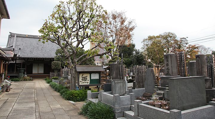 Veduta del cimitero a Yanaka a Yanaka, con lapidi in pietra, un sentiero lastricato e un tempio sullo sfondo.