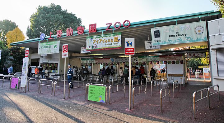 Entrata dello zoo al Parco di Ueno, Tokyo, con persone in attesa.