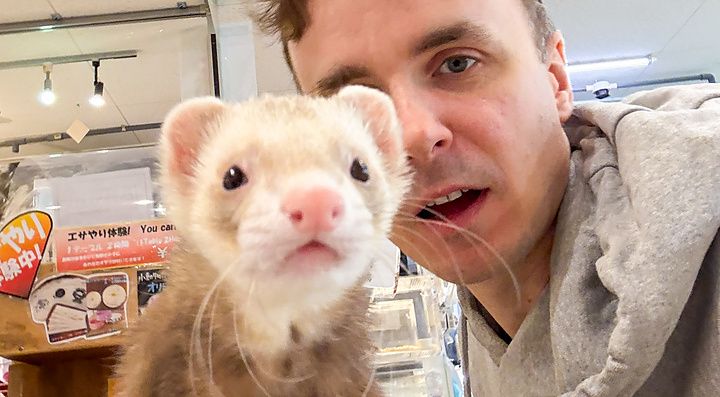 Marco Togni posa per un selfie accanto a un furetto su un supporto di legno all'interno dell'animal cafe Rock Star a Osaka.