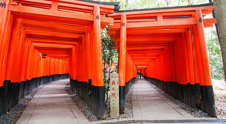 Corridoi paralleli formati da centinaia di torii rossi presso il santuario Fushimi Inari a Kyoto.