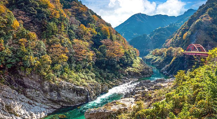 Veduta panoramica del fiume Iya che scorre nella gola Oboke-kyo con vegetazione autunnale e un ponte rosso in Giappone.
