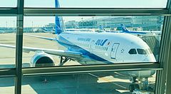 Aereo ANA parcheggiato al gate dell'aeroporto di Haneda visto attraverso una vetrata.