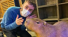 Marco Togni con mascherina si trova accanto a un capibara all'interno del locale Animeal a Osaka.
