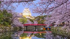 Castello di Himeji in primavera con ciliegi in fiore e ponte rosso riflesso nell'acqua.