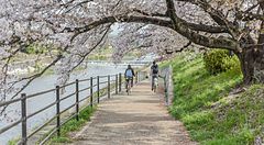 Kyoto in bicicletta