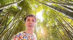 Marco Togni in una foresta di bambù in Giappone con luce filtrata tra gli alberi.