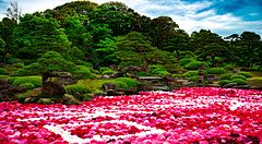 Giardino Yushien