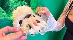 Una mano di orso peloso sporge da un foro su una parete verde presso l'Anakuma Cafe ad Harajuku, Tokyo.
