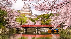 Il Castello di Himeji in primavera con ciliegi in fiore e un ponte rosso.