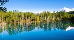 Stagno blu di Biei