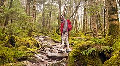 Persona in una foresta muschiosa vicino al lago Shirakoma.