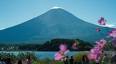 Veduta del monte Fuji con neve sulla cima, osservato dalla sponda del lago Kawaguchi presso Oishi Park.