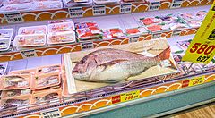 Pesce gigante esposto in un supermercato giapponese, circondato da confezioni di prodotti ittici.