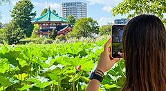 Una donna inquadra il tempio Bentendo dello Stagno Shinobazu con uno smartphone in una giornata estiva.