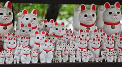 Numerose statuine di gatti maneki neko di varie dimensioni sono allineate su scaffali di legno al Tempio Gotokuji.