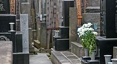 Cimitero tradizionale giapponese con fiori bianchi a Yanaka.