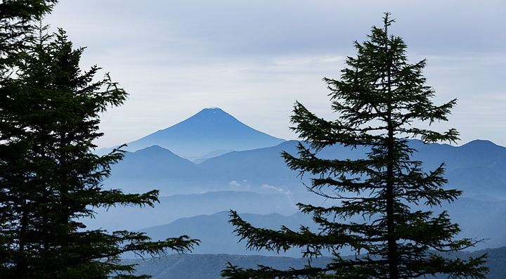Veduta del monte Fuji oltre strati di cime montuose, incorniciato da rami di pino dal monte Kumotori.