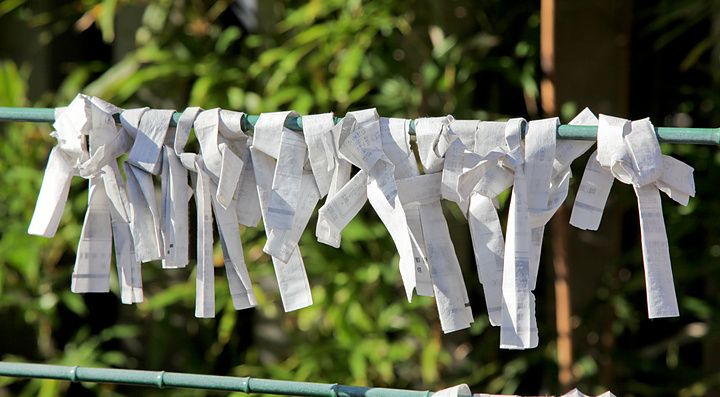 Strisce di carta omikuji annodate su una struttura di bambù verde in un santuario in Giappone.