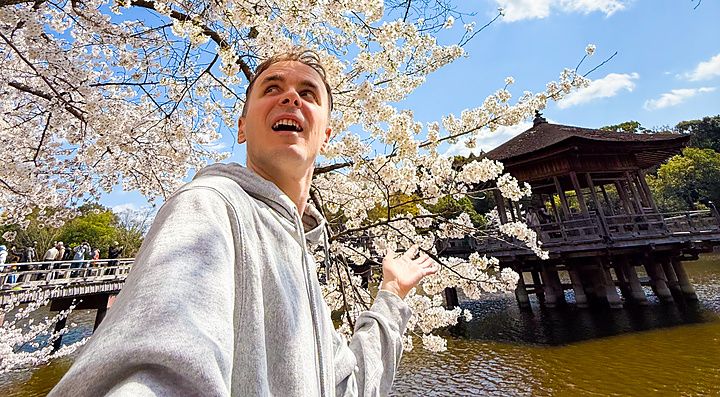 Selfie di Marco Togni al parco di Nara, in primavera, con i fiori di ciliegio e il padiglione Ukimido sullo sfondo.