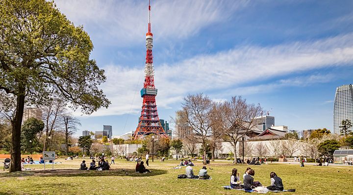 Persone che riposano nel prato di Shiba Park con la Tokyo Tower sullo sfondo in una giornata primaverile.