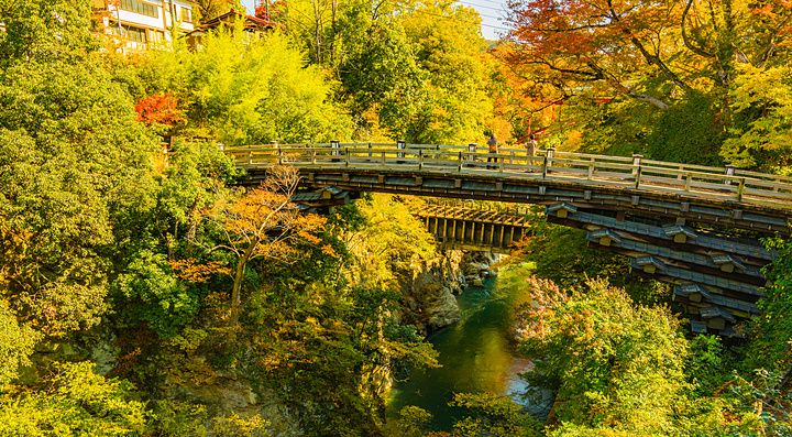 Ponte di legno sospeso sopra una gola in una foresta autunnale con alberi dai colori accesi a Otsuki.
