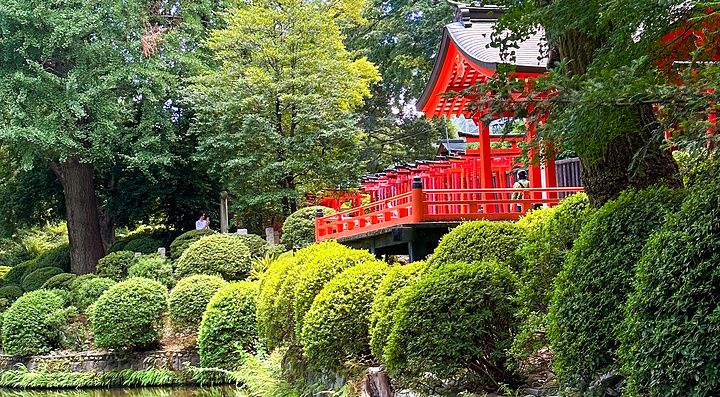 Il giardino del santuario Nezu a Tokyo con cespugli curati e un torrente.