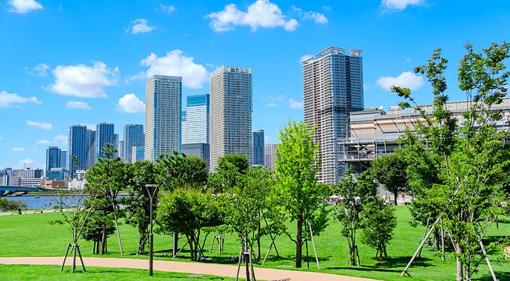Veduta del parco di Toyosu a Tokyo con prati verdi e grattacieli moderni sullo sfondo.