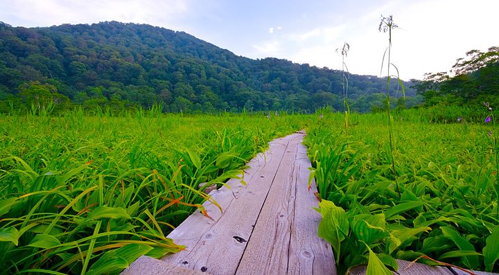 Passerella di legno nella palude di Tanashiro, Giappone, con collina boscosa sullo sfondo.