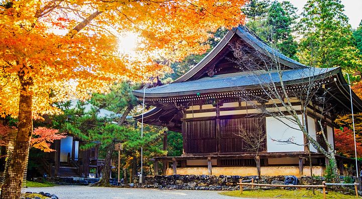 Tempio Jingo-ji a Kyoto circondato da foglie autunnali colorate.