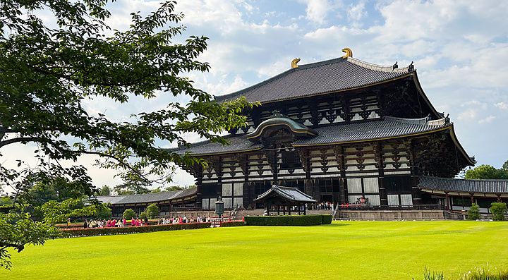 veduta del tempio Todai-ji a Nara con prato verde e albero.