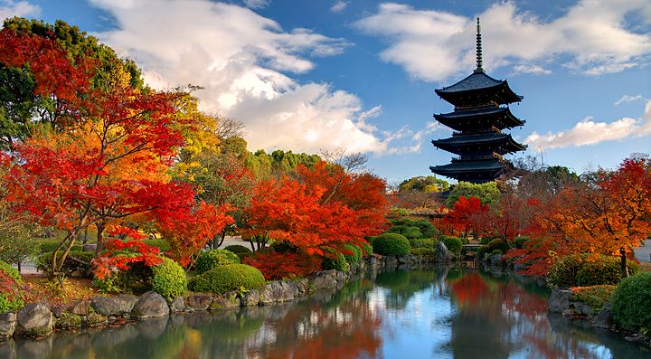 Pagoda di To-ji a Kyoto circondata da alberi autunnali e un lago.