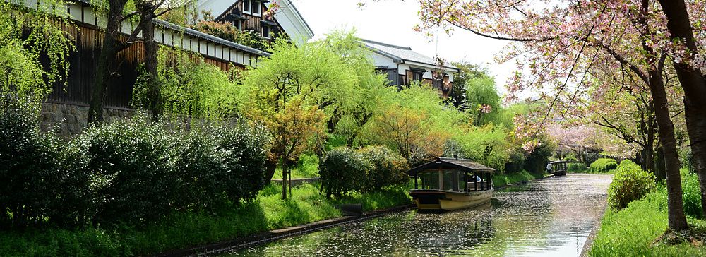 Barca tradizionale giapponese su un canale alberato durante la fioritura dei ciliegi a Kyoto.